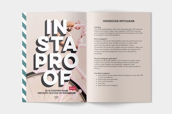 Deskresearch pagina 2